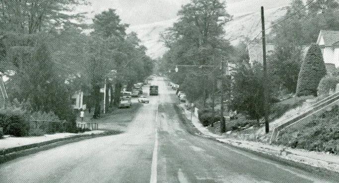 scan0303.jpg
