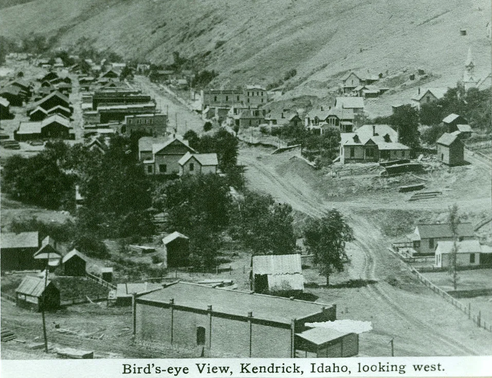 scan00141.jpg
