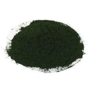 Chlorella.jpg