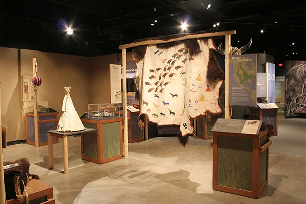 Bison, A Traveling Exhibit