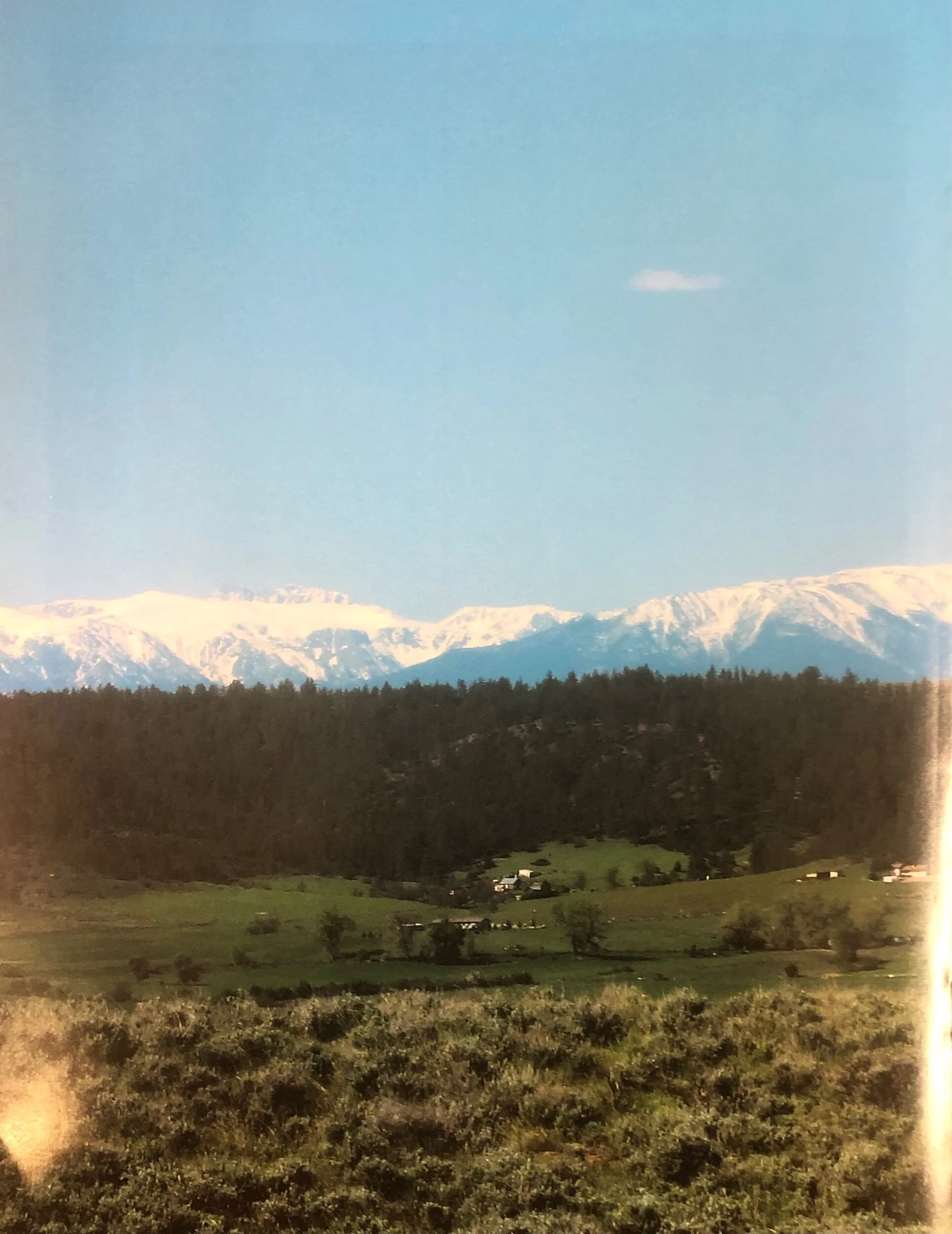 987A7D0A-D104-4540-879A-96F571188E05