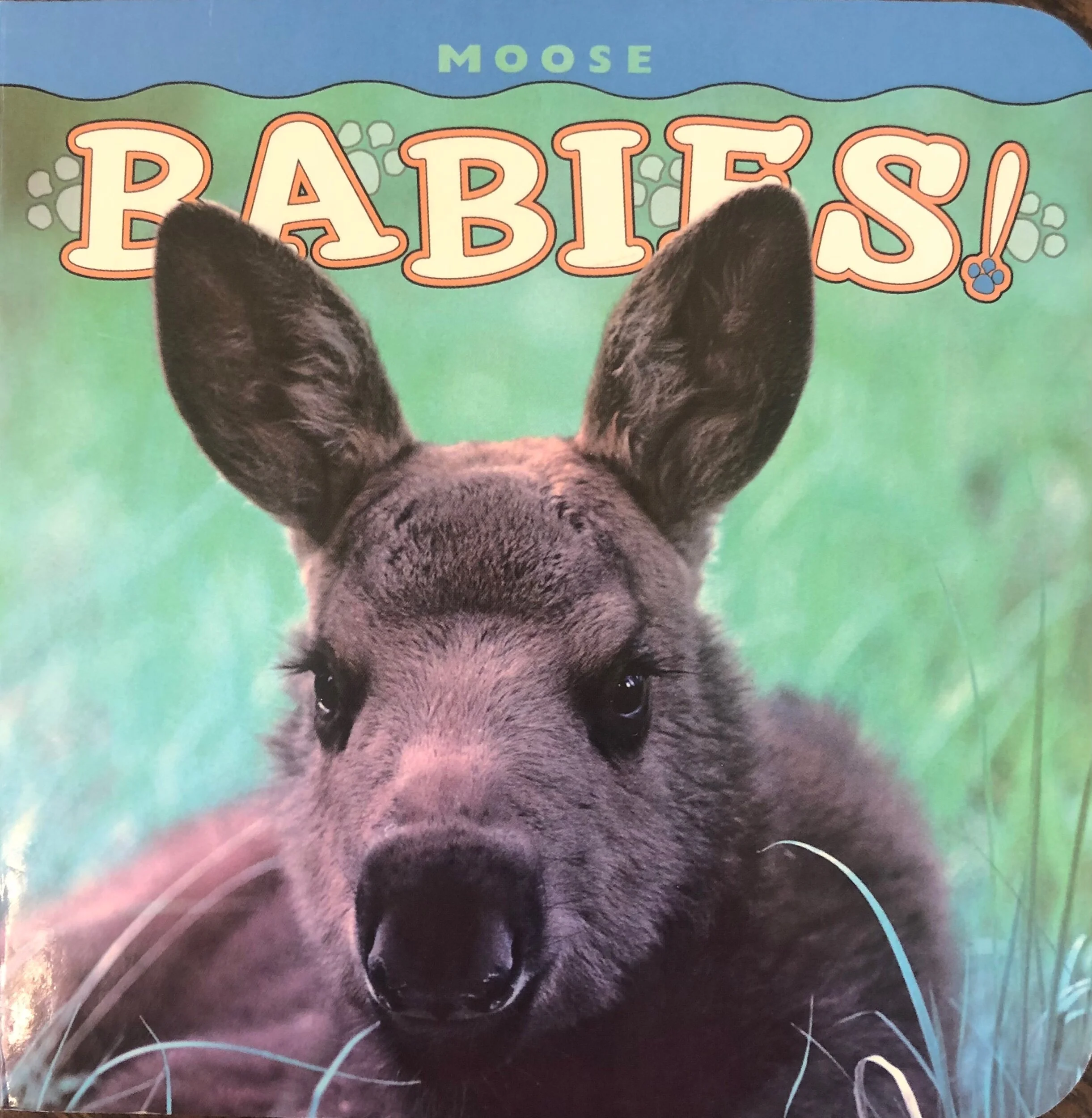 1211D514-38DF-4ECF-AF53-FCD7AB27324E