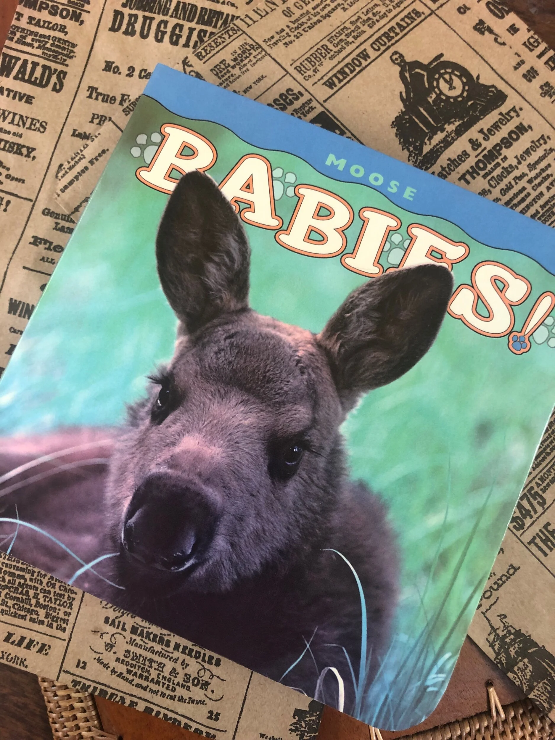 D7989854-A2DD-4C51-90D8-0CB298ABC33E