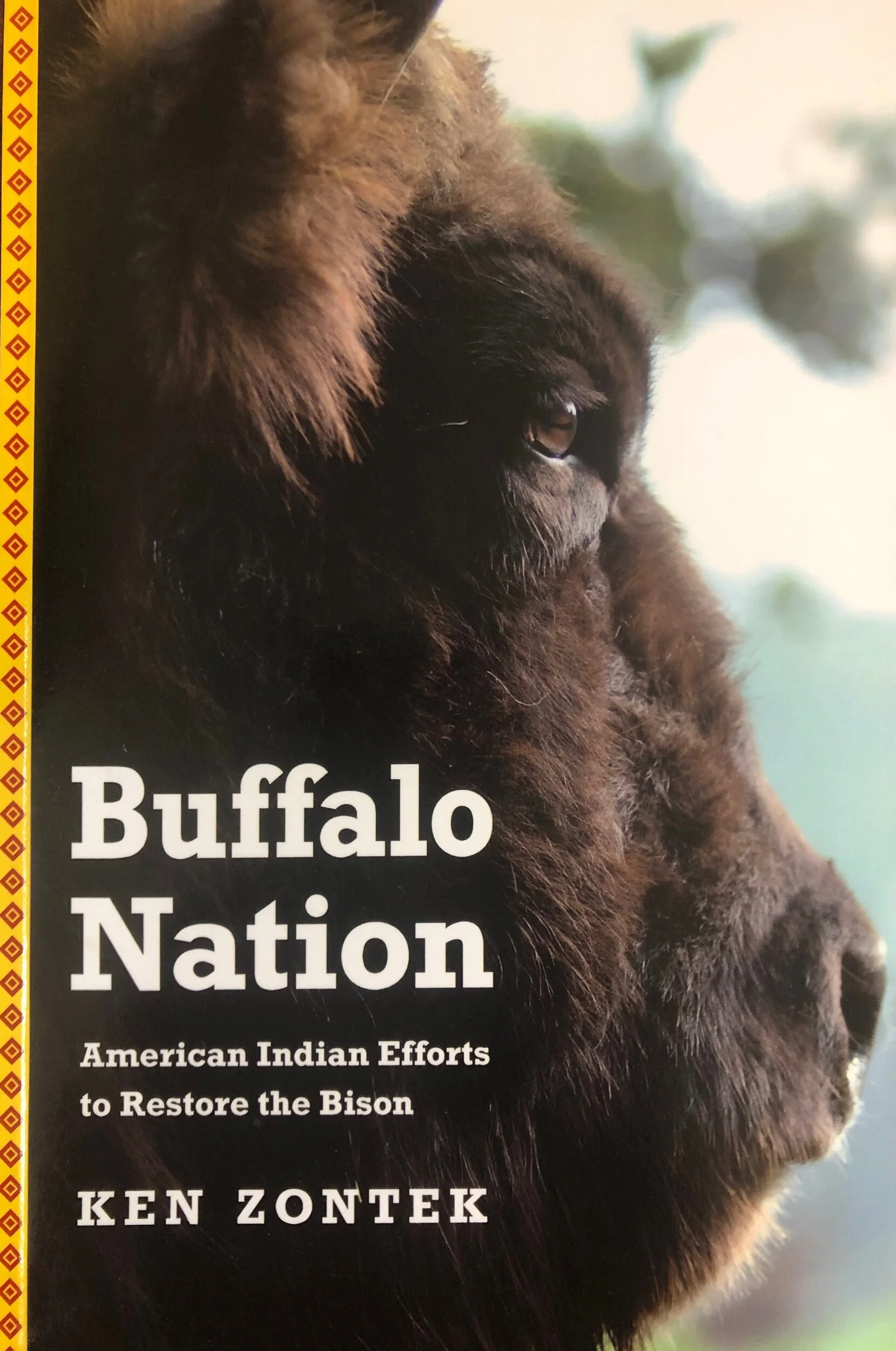 863A7B3E-CDAB-4E14-86DB-505C733C3EB7