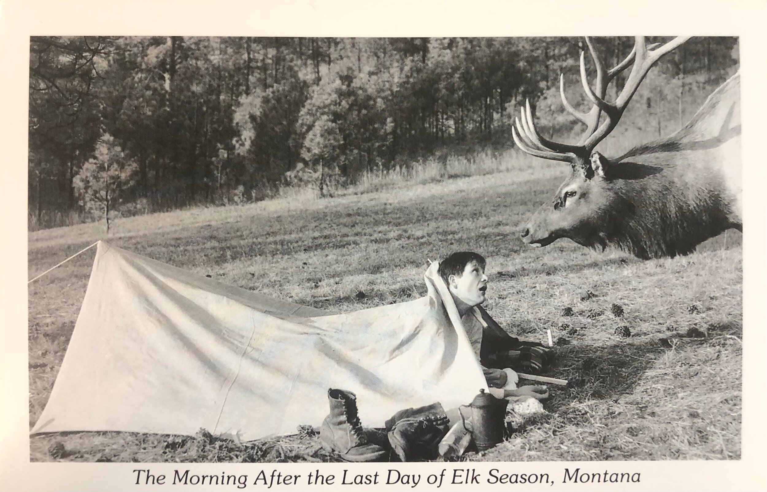 59A750F1-A29A-49AC-850F-BA7EF27B2C6C