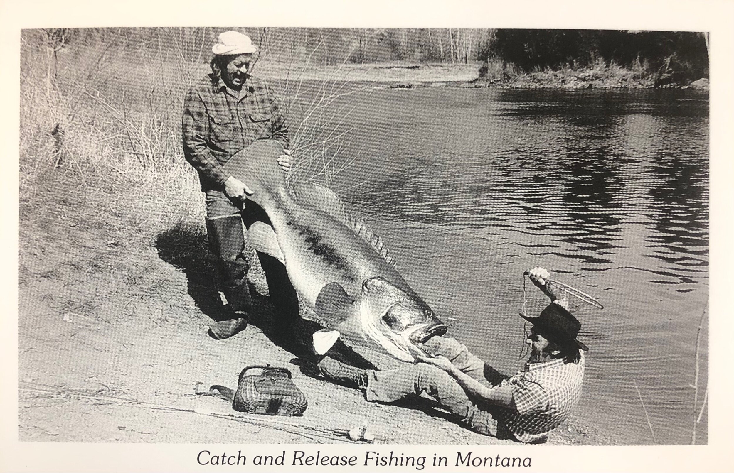 5D17A6C8-7E98-40FA-A362-71B78BB87871