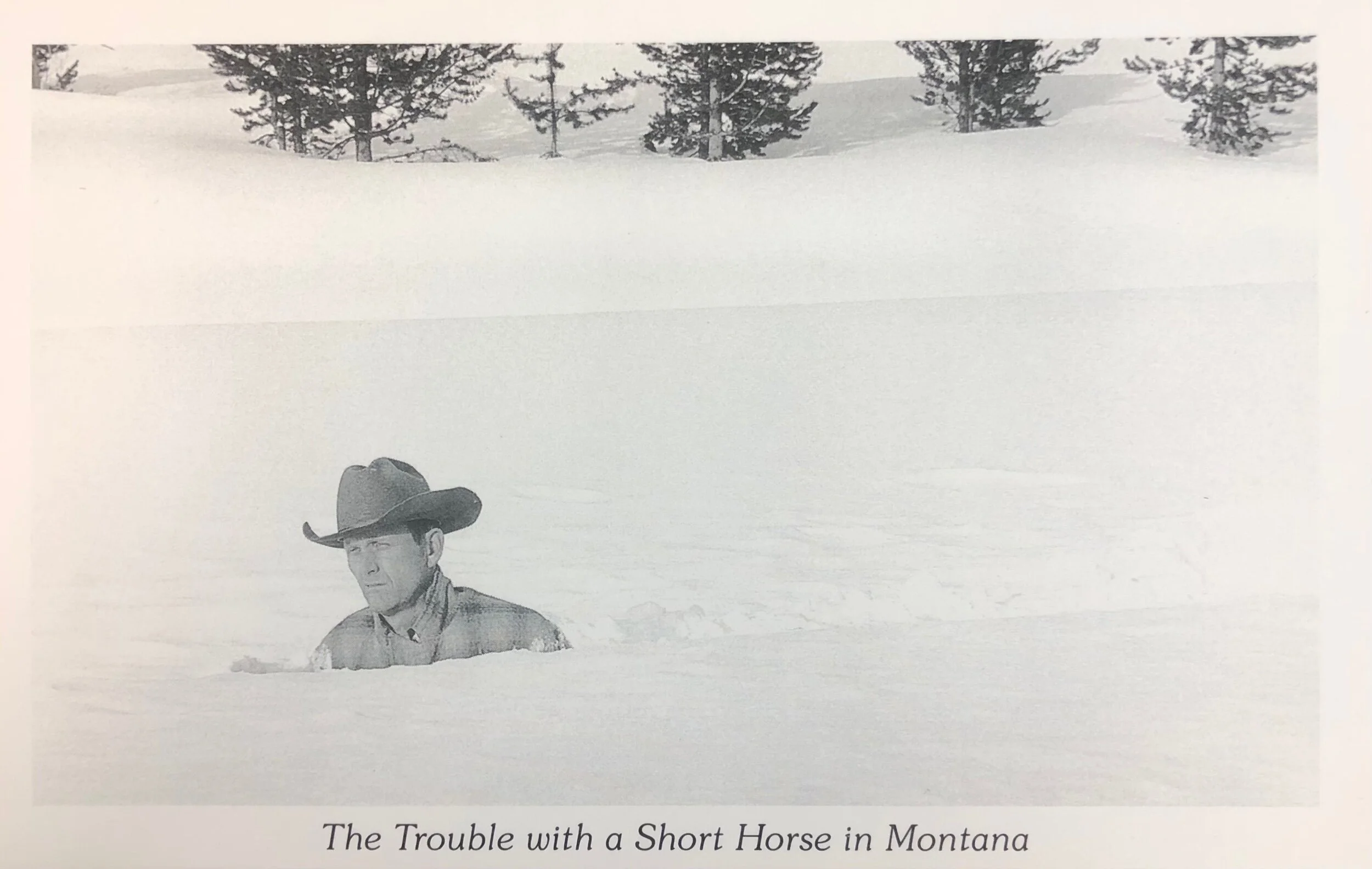 D6E08A6A-B3F6-4D1C-BFD4-4EFBF3B19F7C