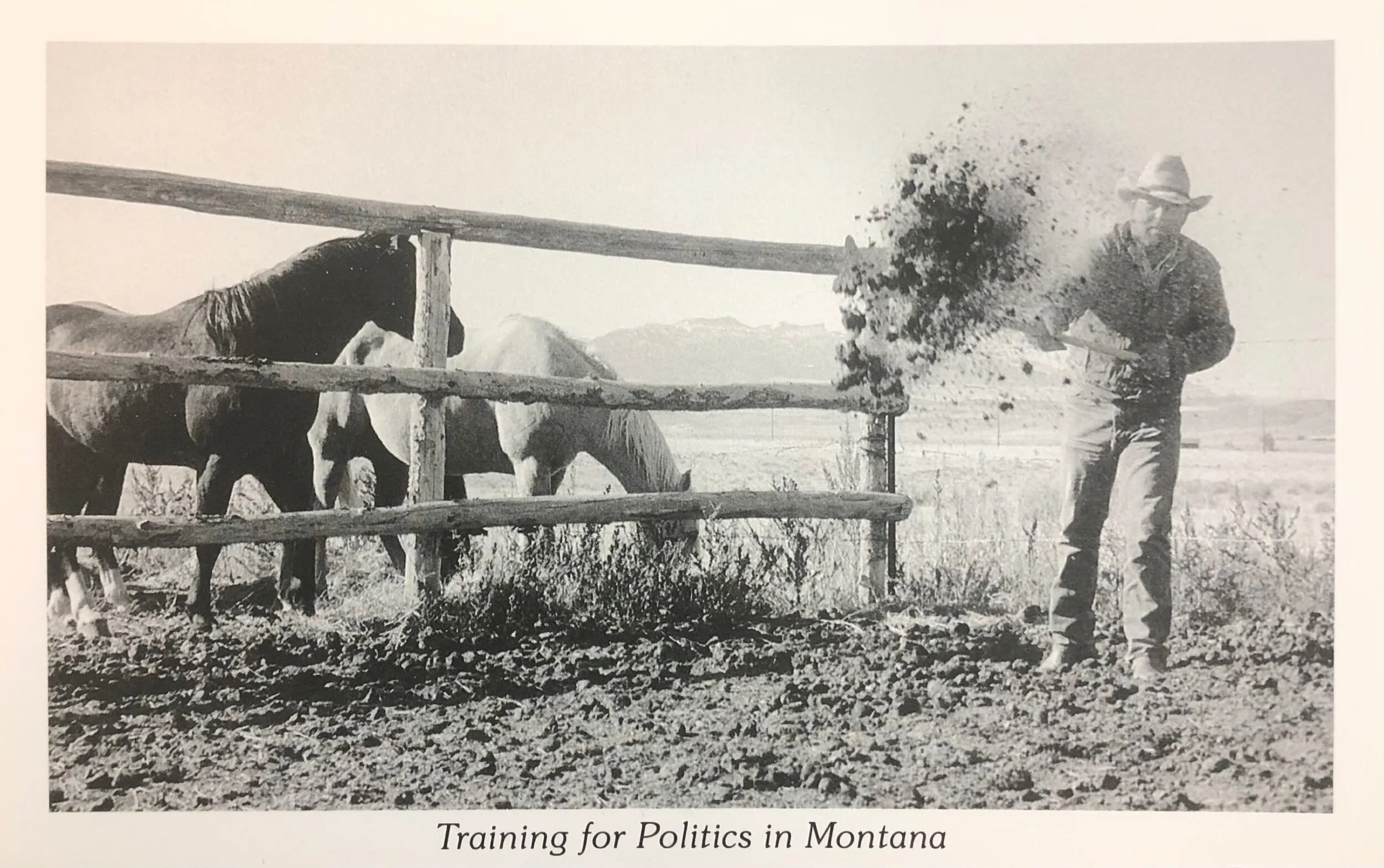 31058A89-4885-4AC6-A1E1-35D41DB551B9