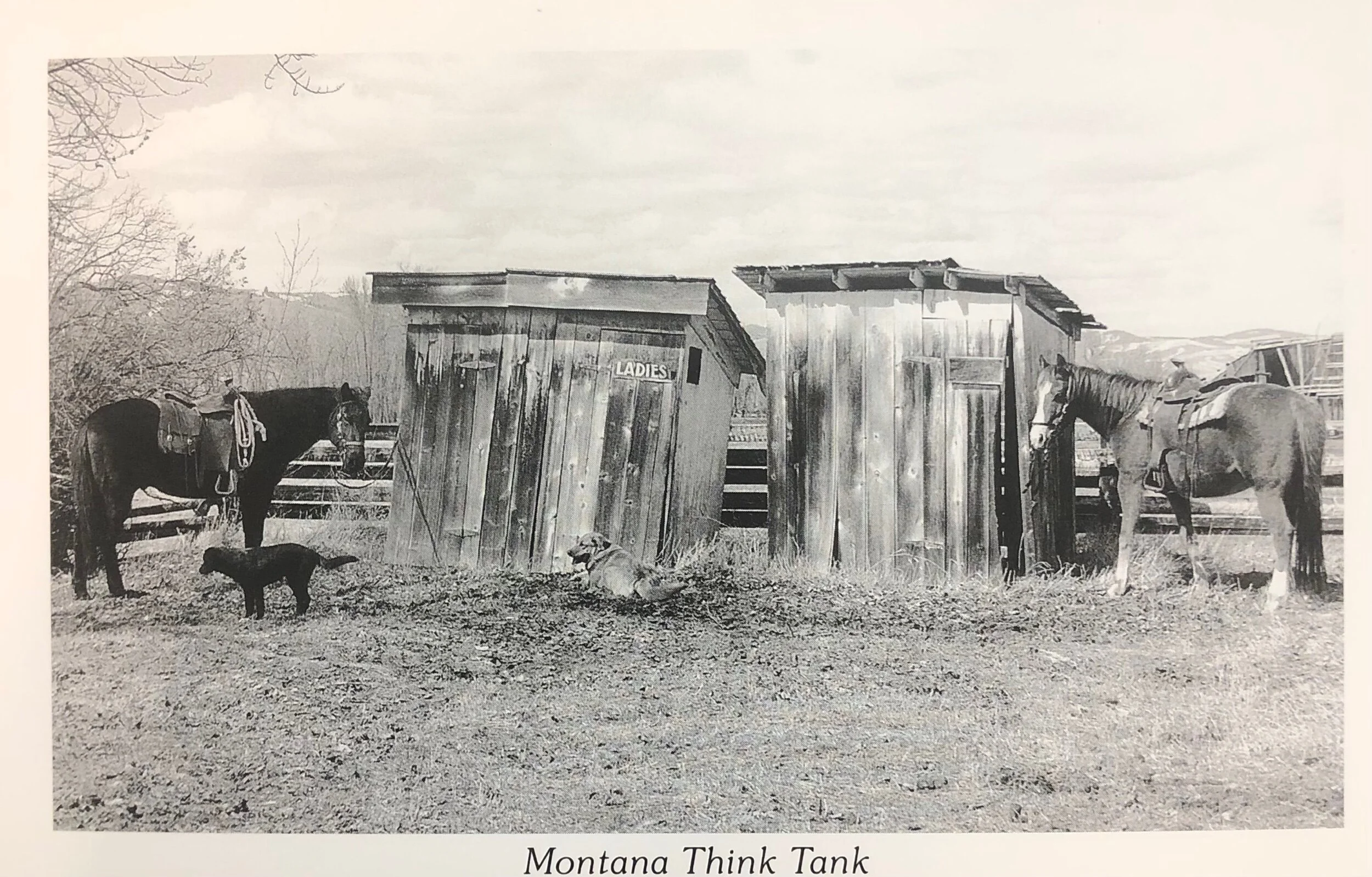 515DDC10-847F-4C76-AEA7-60CE764EBB33