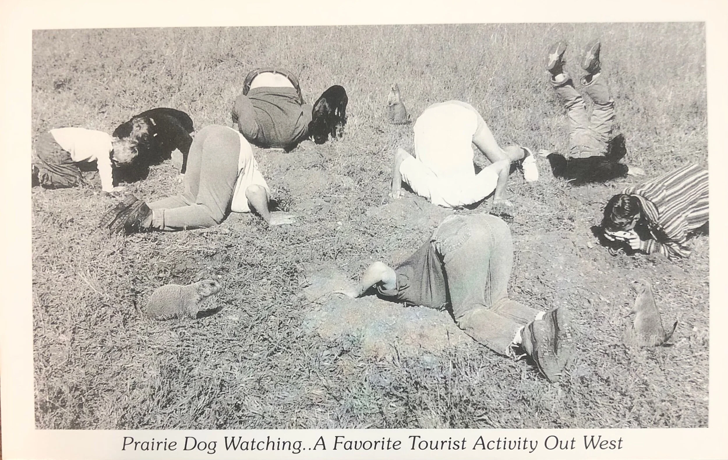 E89CD0DD-31FC-4E24-8E1E-9D111447F72B