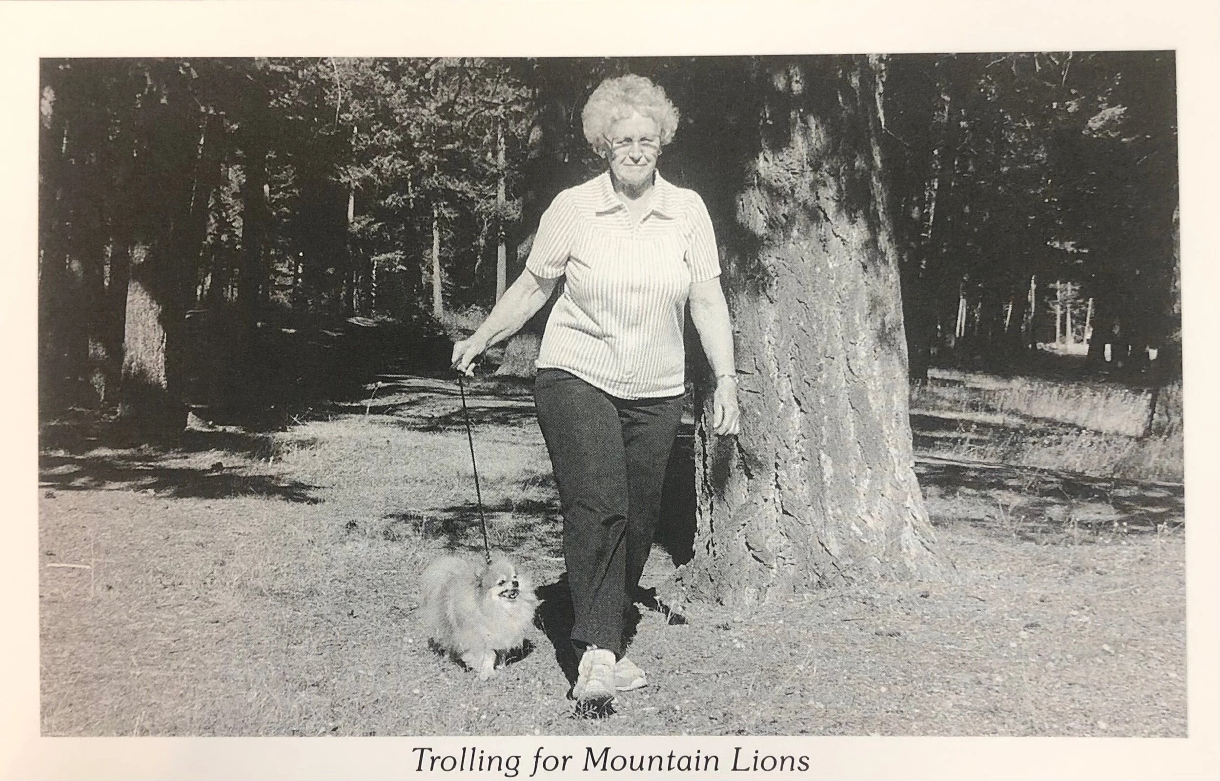 38EF7686-6BCA-4436-AE4F-9A749FB3EAE3