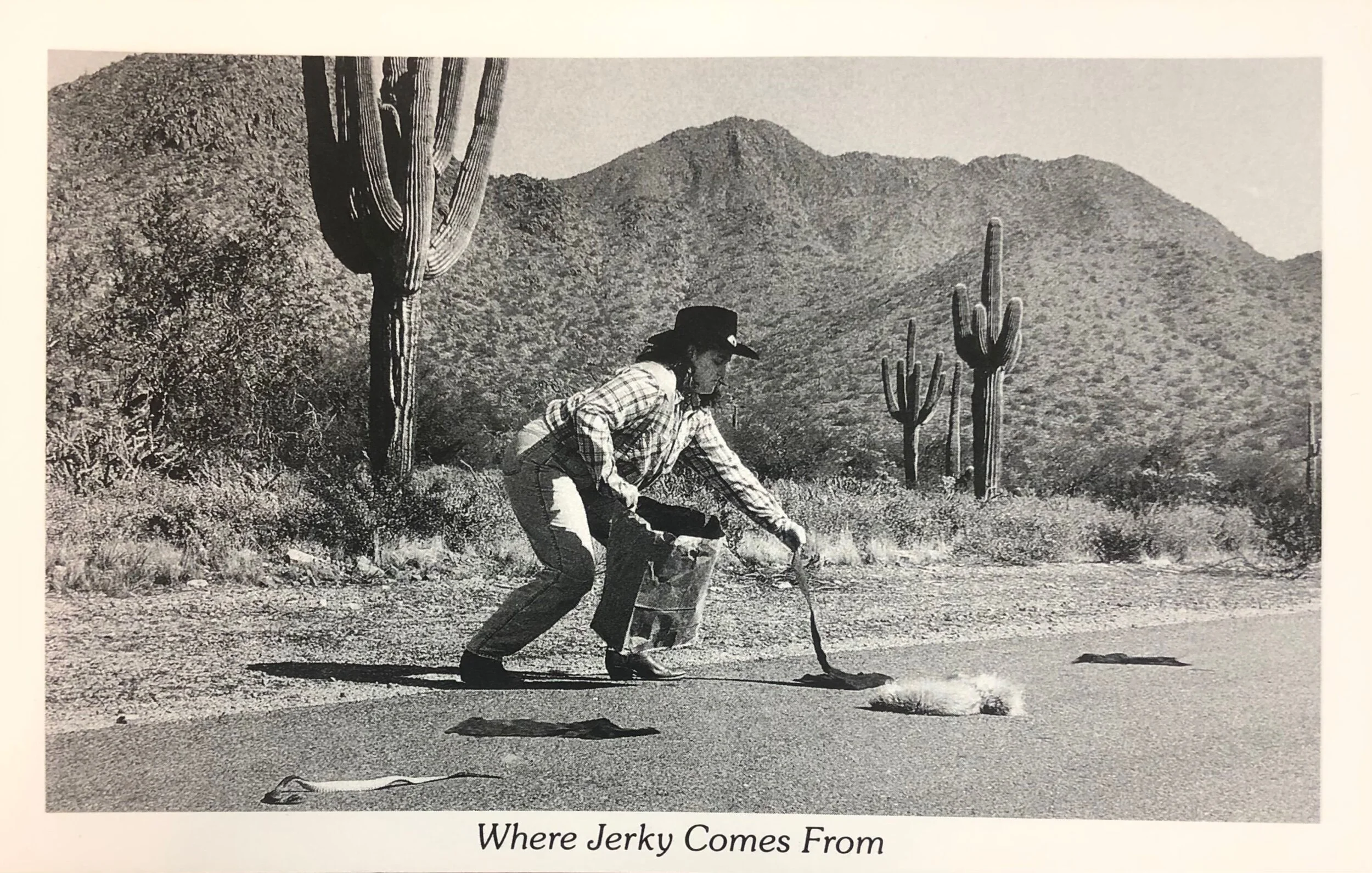 D0E7B425-A87B-4E67-911E-4B03BEBC6946