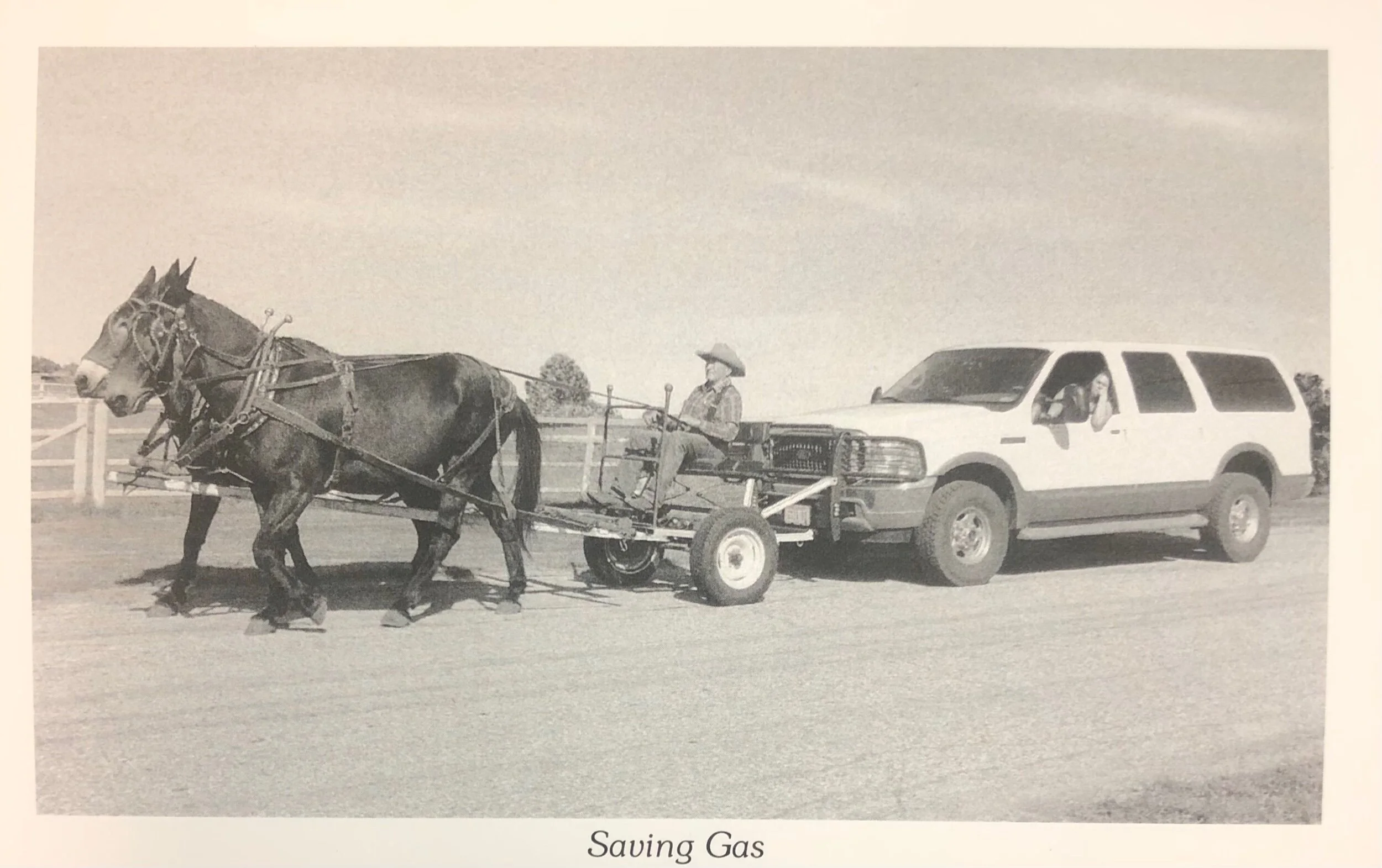 0C0EBF2E-5F61-46BC-A04A-BE5F689A9263