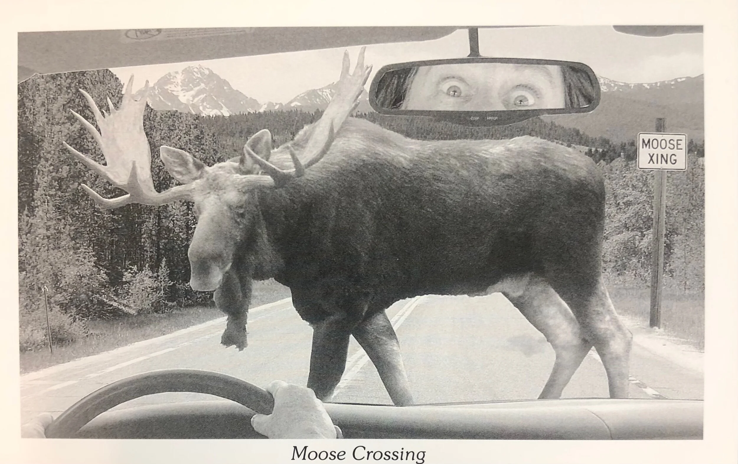 7F94F0EF-F32F-4EA3-817F-24E0E3A0221B