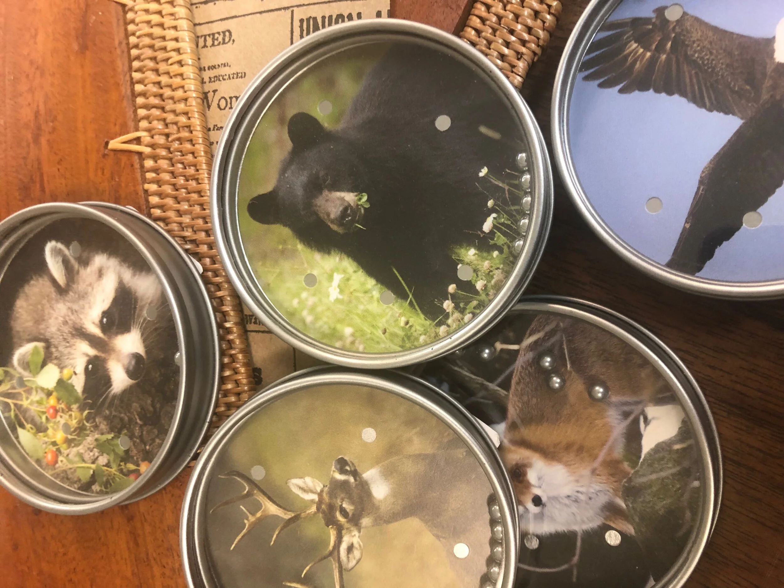 07F61225-7C01-4652-AD2A-B611914B023D