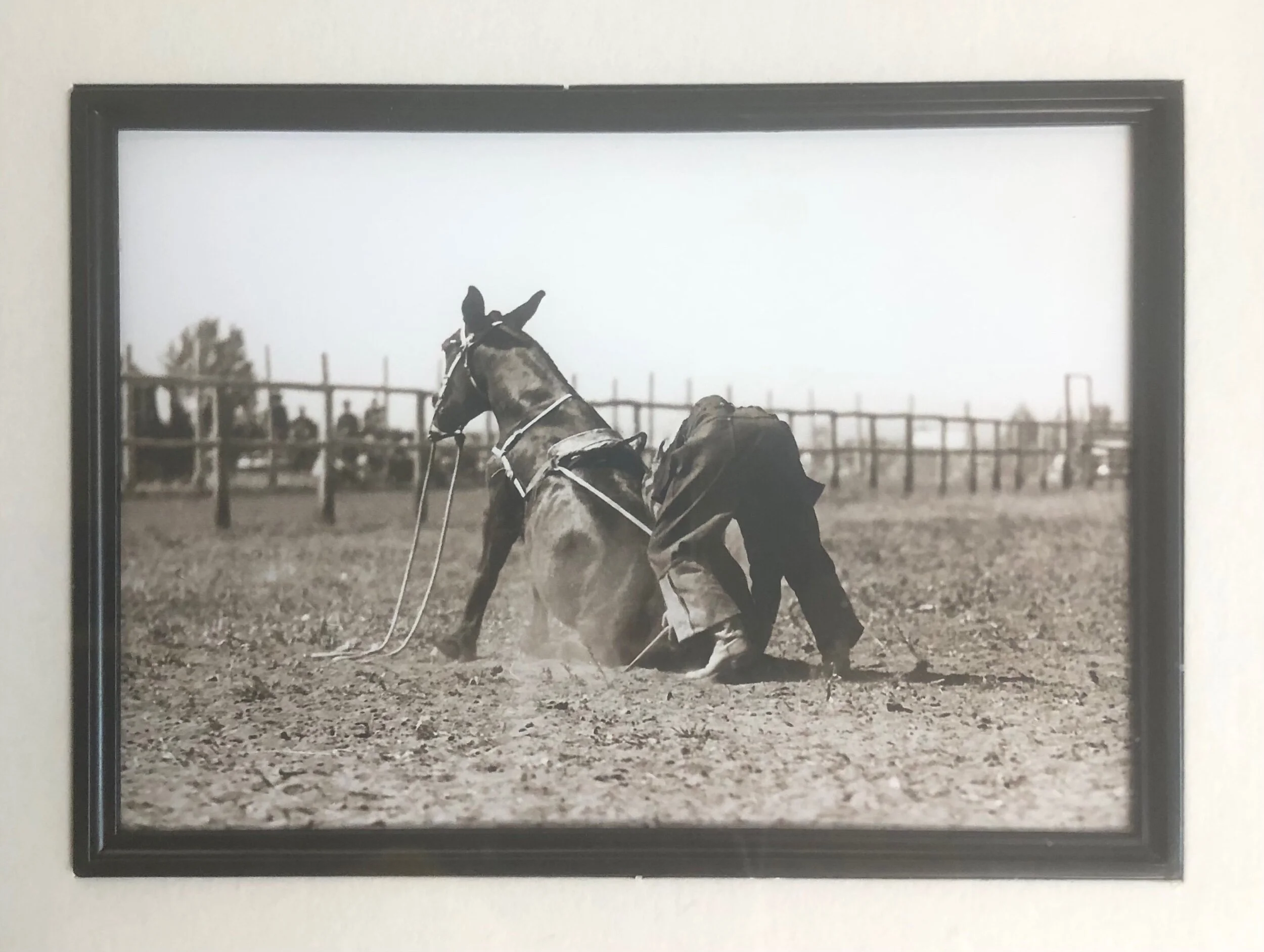 1C2A84D3-4652-4190-99FF-9D3219935C8E