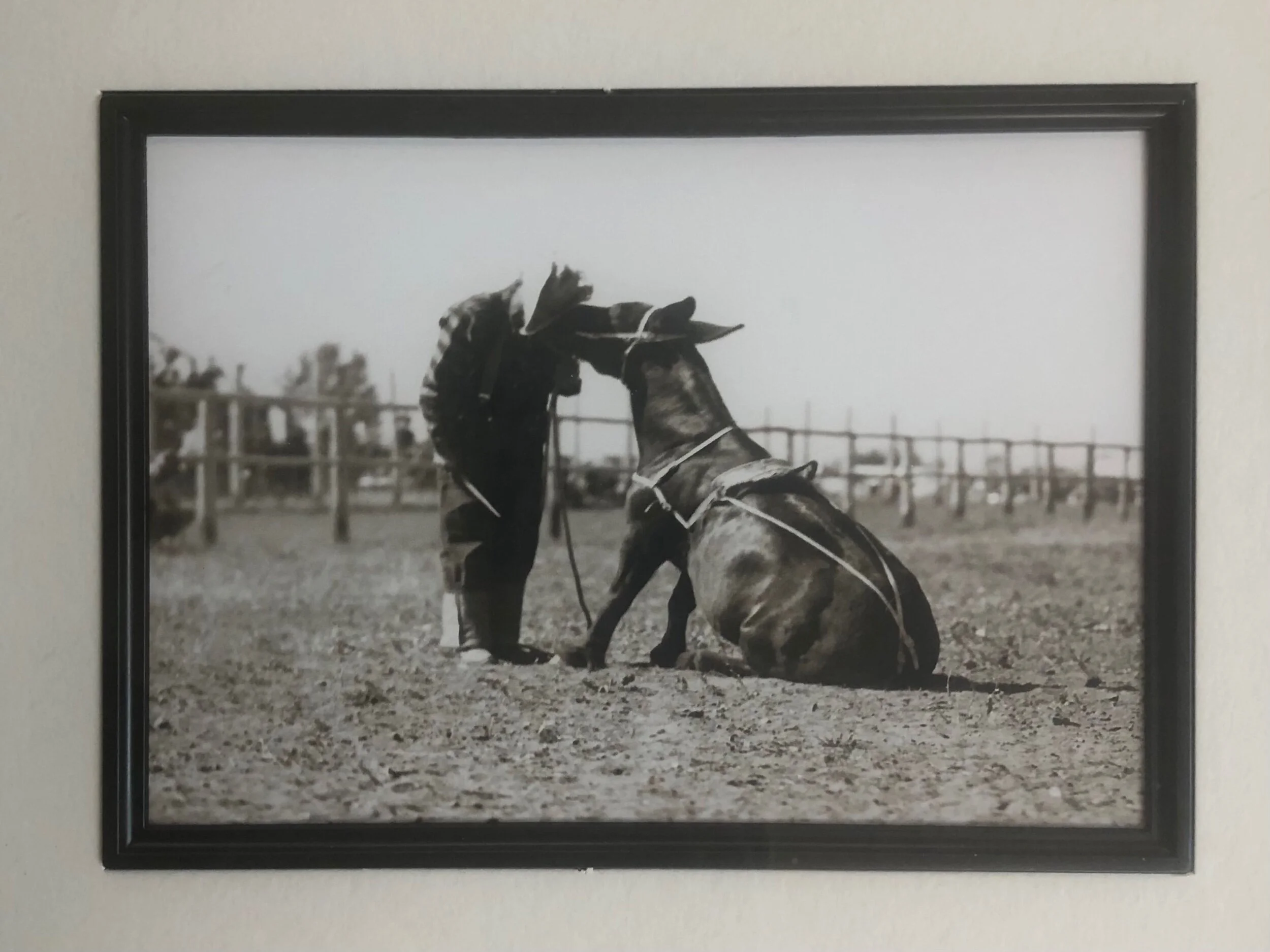 DECF8E45-166A-4963-BDDB-428A07C17C3E