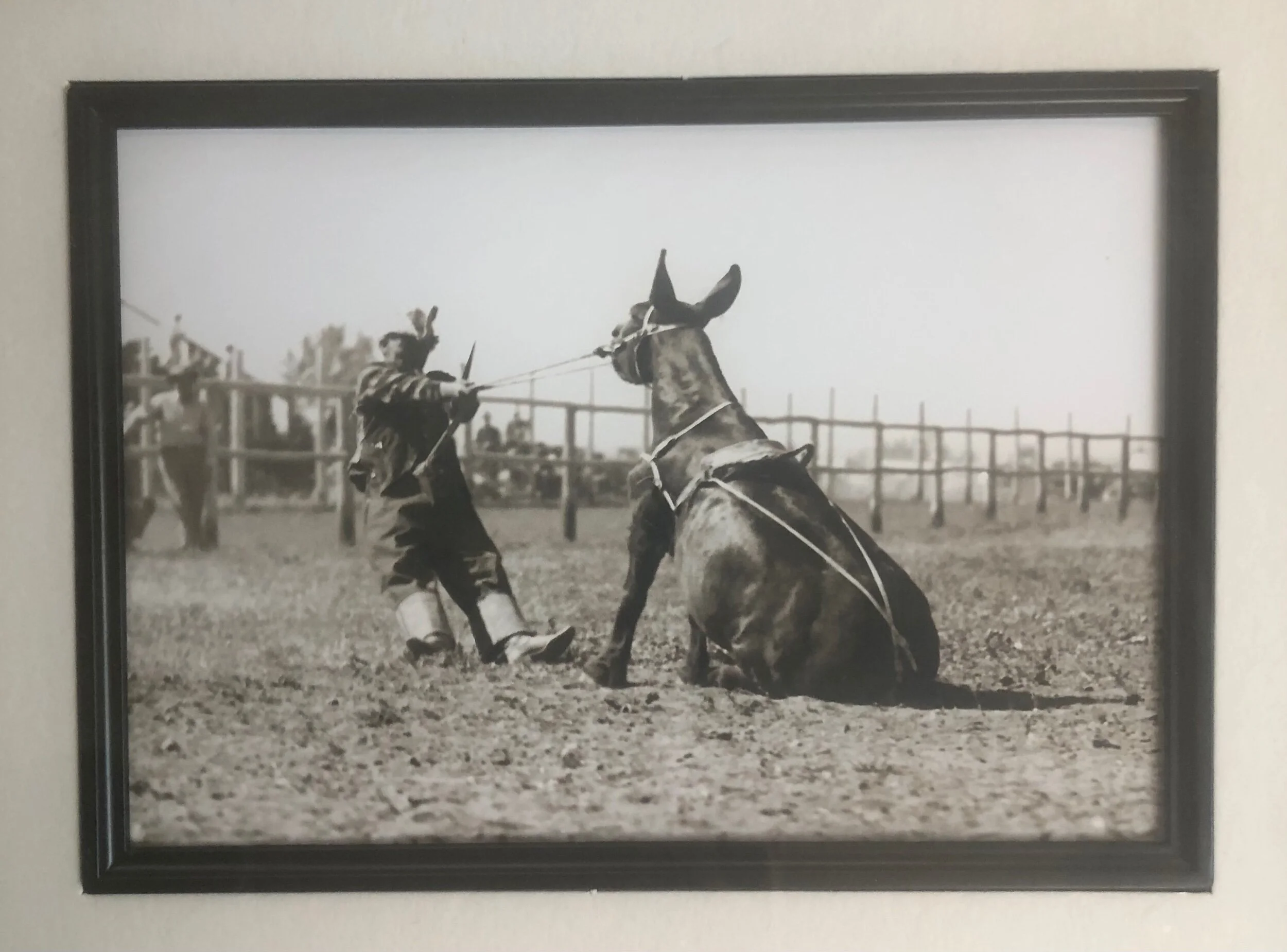 C4B100AD-AF70-4E57-8BA0-643106F18B8B