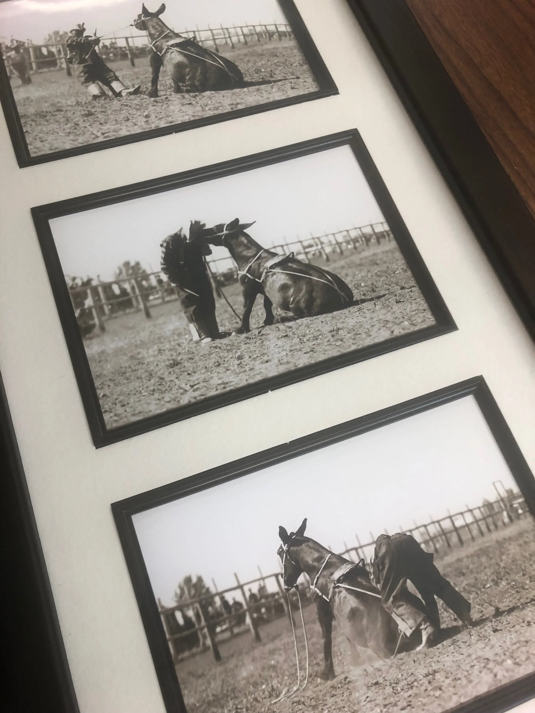 D2F70109-A36B-4847-9500-4676402B55B1