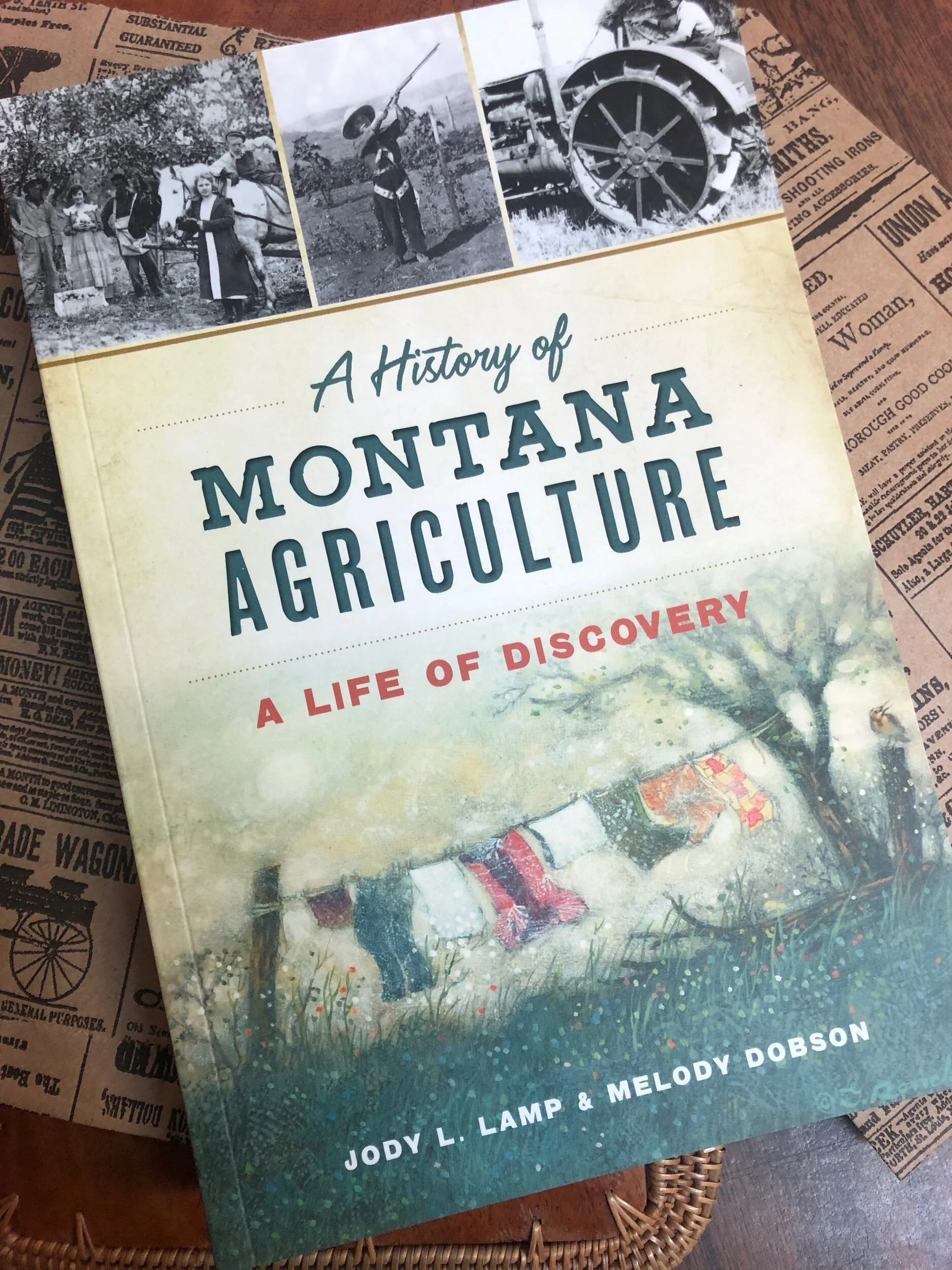 CC1DE1D9-4610-4A45-9C60-C2843E4F6252