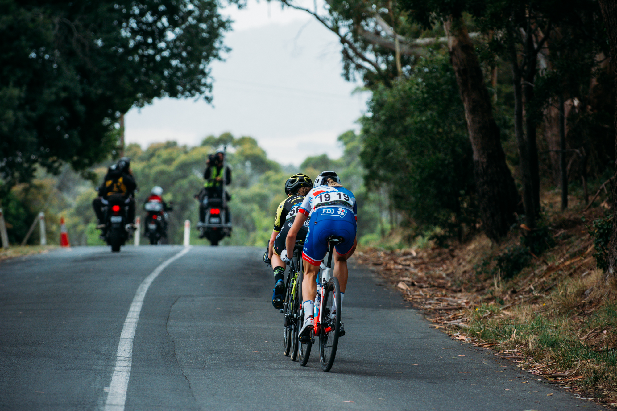 After the QOM the riders get to rip down the descent