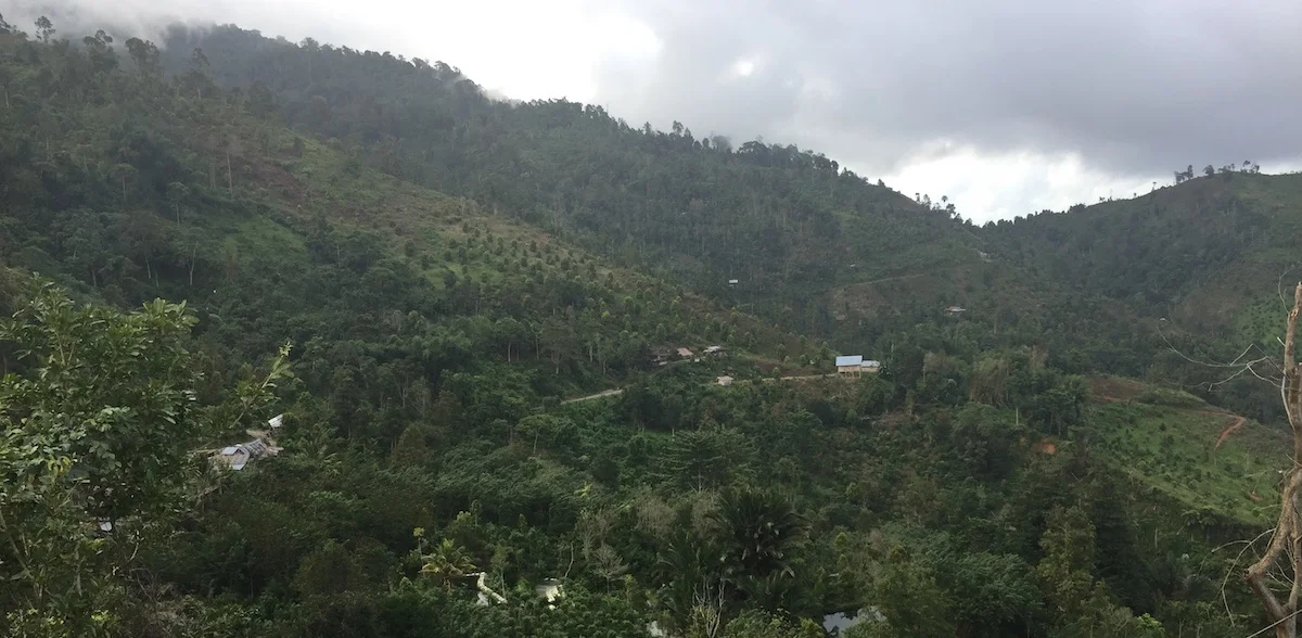 nusantara awak mas.JPG