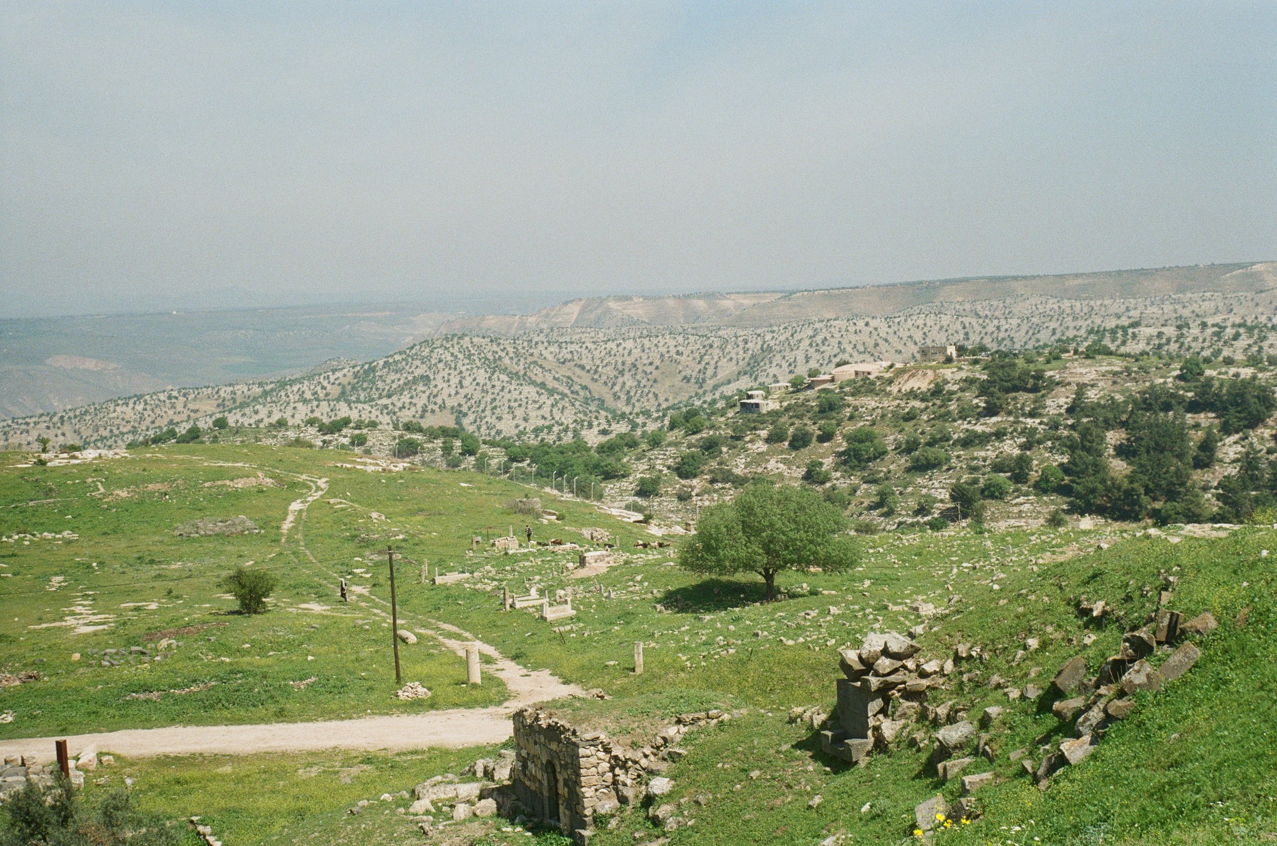 a view of the syrian hills, jordan