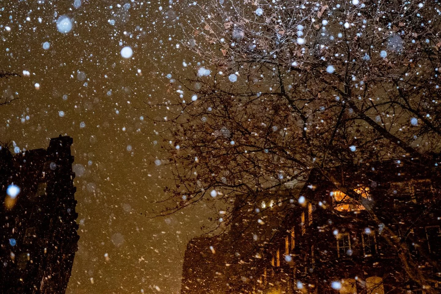 from the start of a snowstorm last year, in honor of the current snow day(s) in new york! i remember wanting to photograph it&mdash;a feeling that is increasingly difficult to come by, surrounded by photo &ldquo;content&rdquo; saturation. that night,
