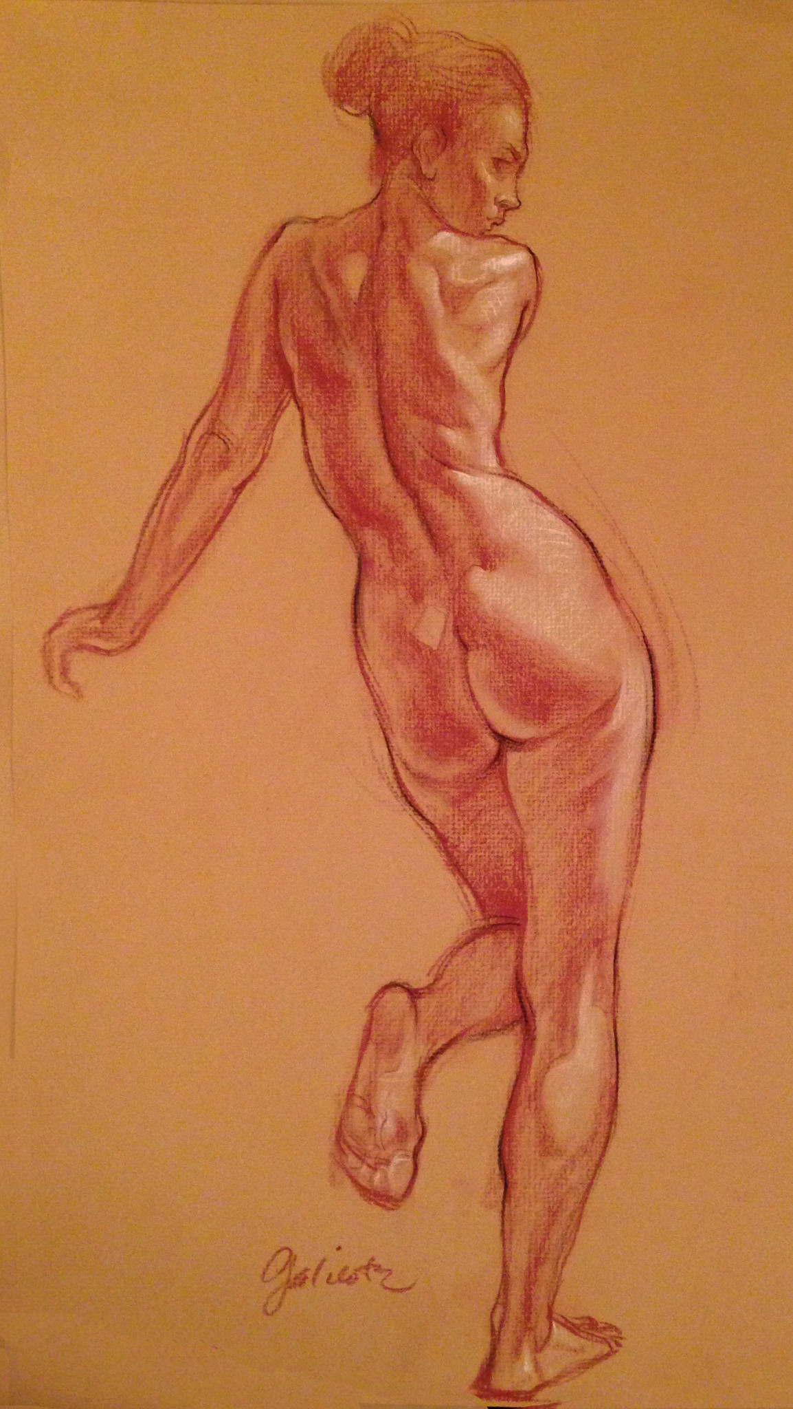 DG-Drawing1.jpeg