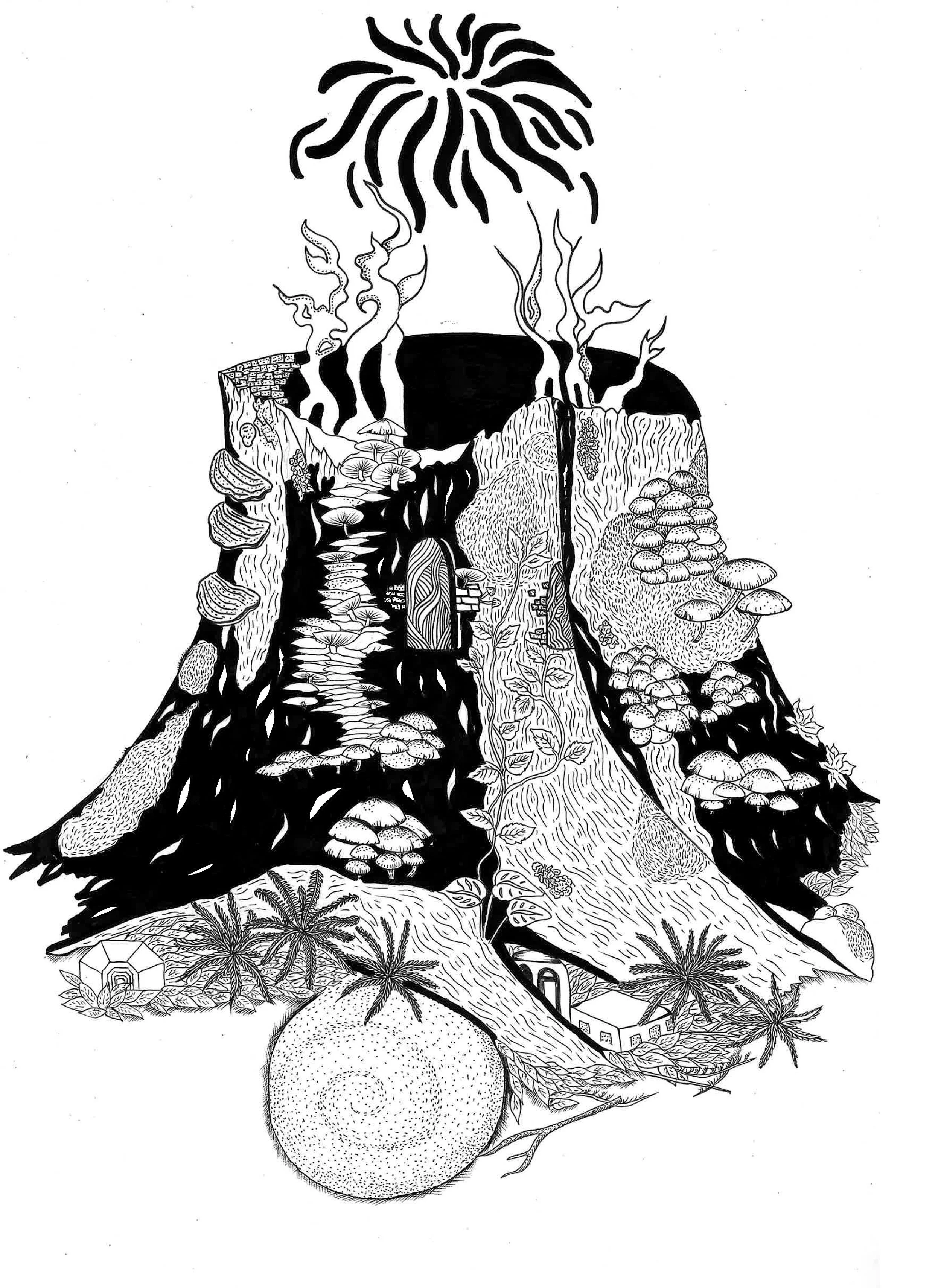 2 translocal agenda compost.jpg