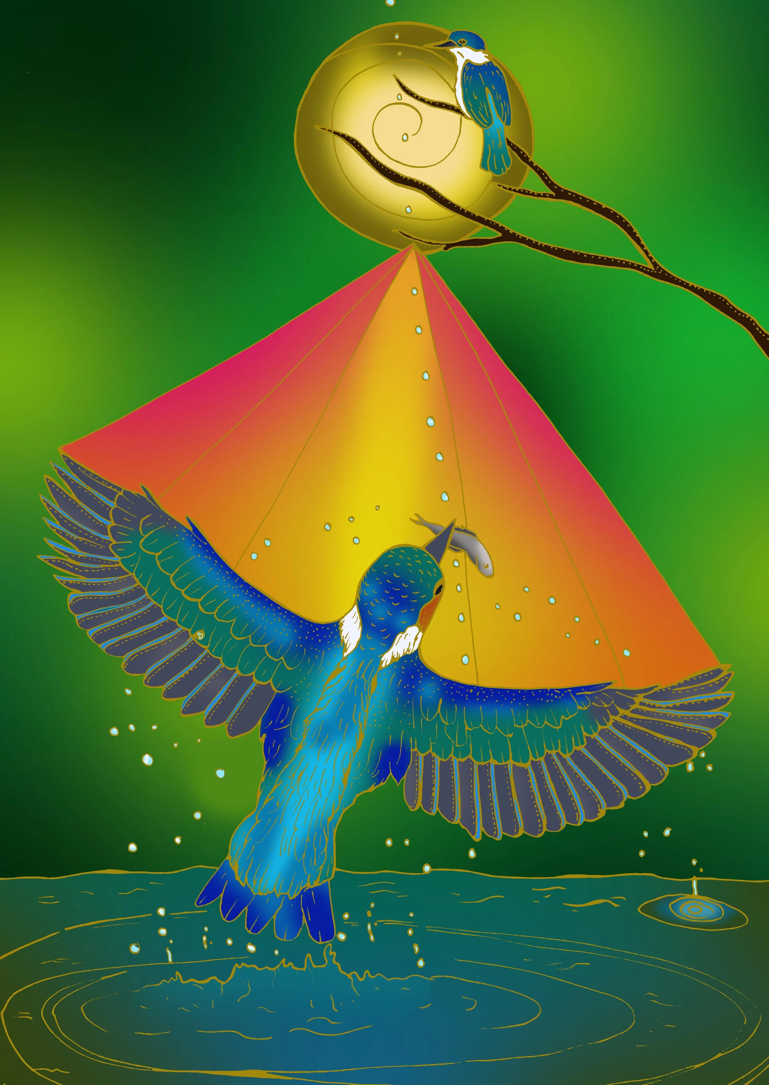 Sacred Kingfisher