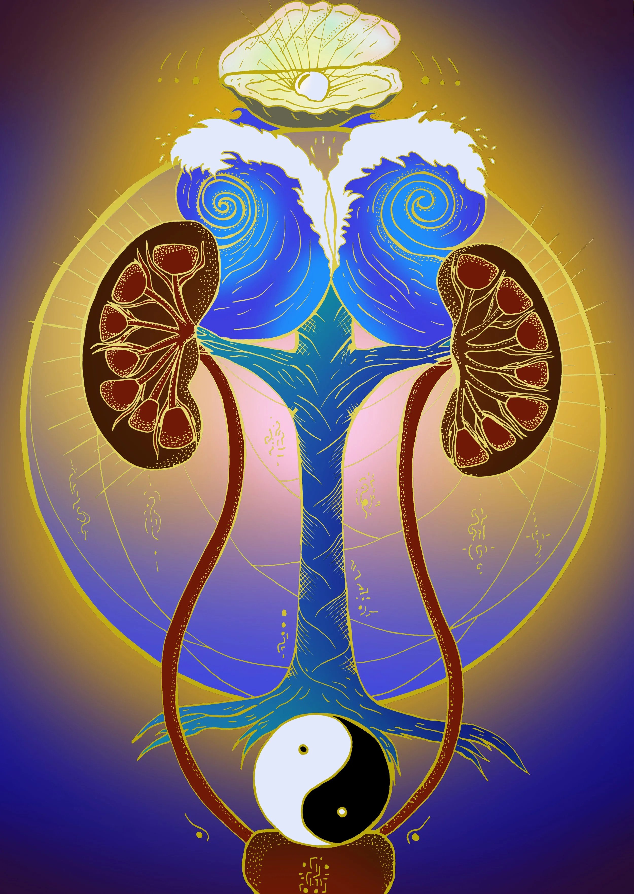 Kidneys - Golden light floods the Body  