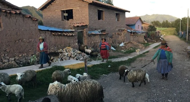How an ancient shamanic ritual gave me insight into disease