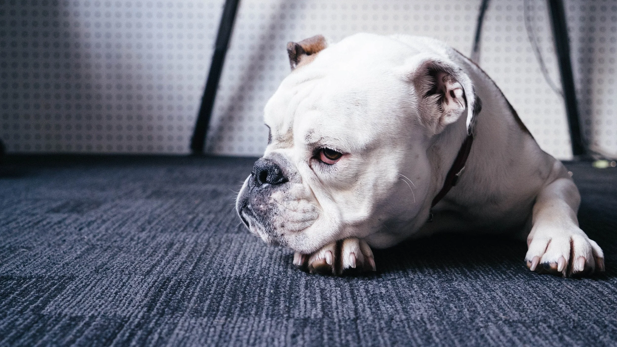 What if you allowed boredom to take you a little deeper?