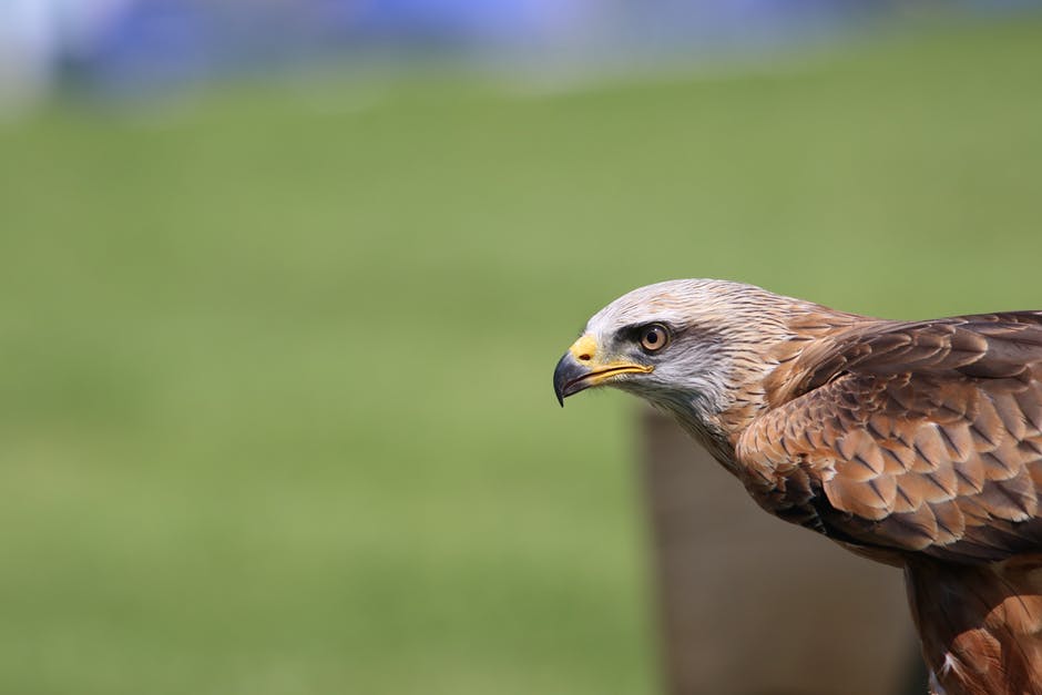 4 Takeaways from Practice Fusion EHR's $100M sale to Allscripts