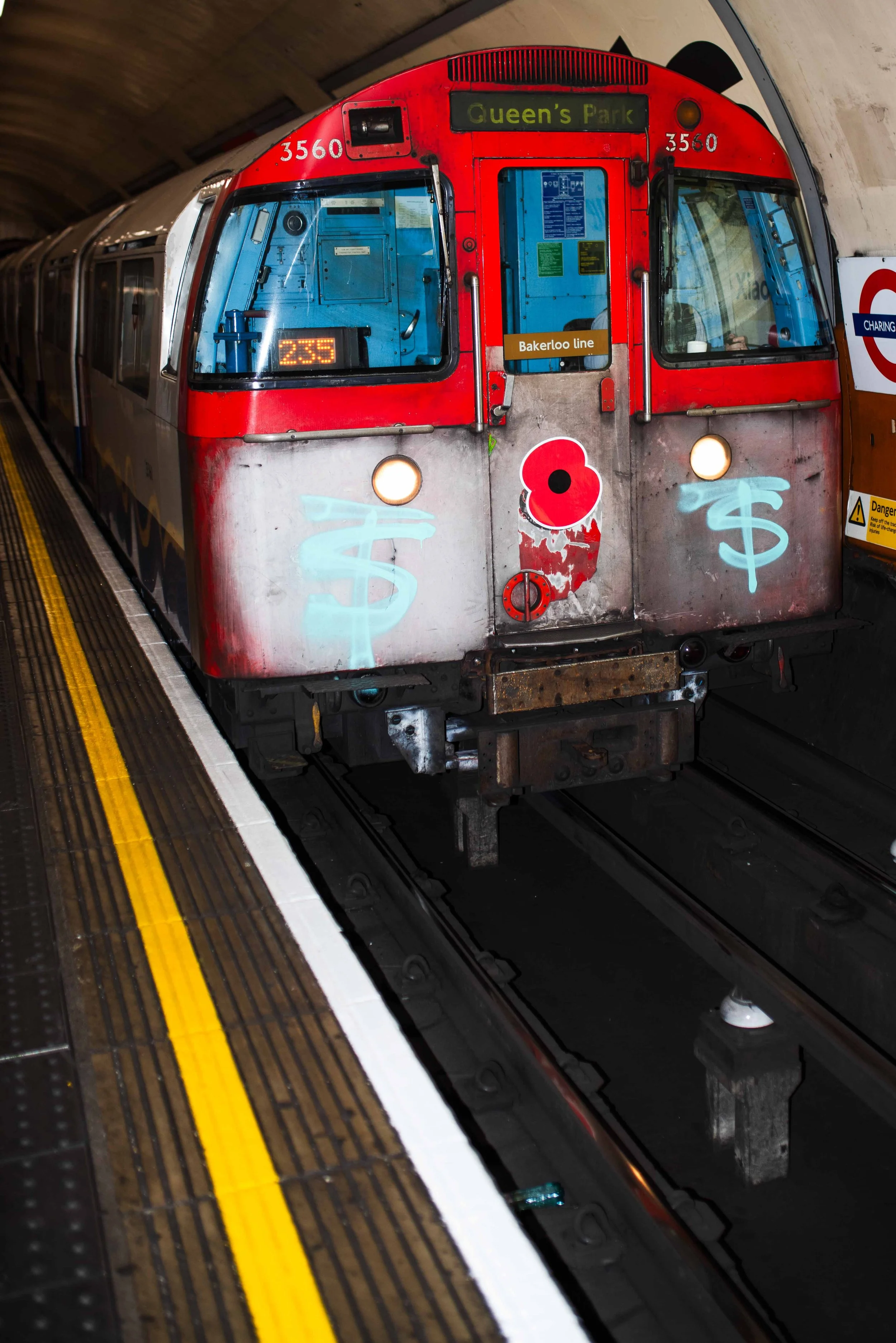 DSC_5951.jpg