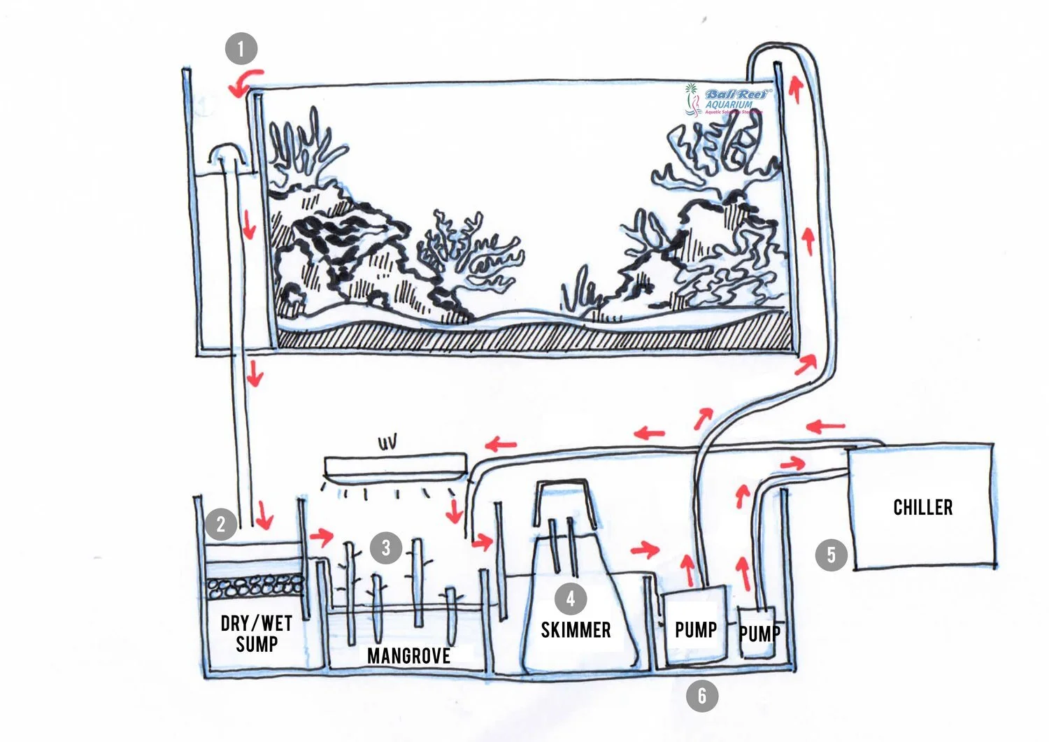 View of SALT WATER AQUARIUM SYSTEM MADE SIMPLE — Aquaticsolutions