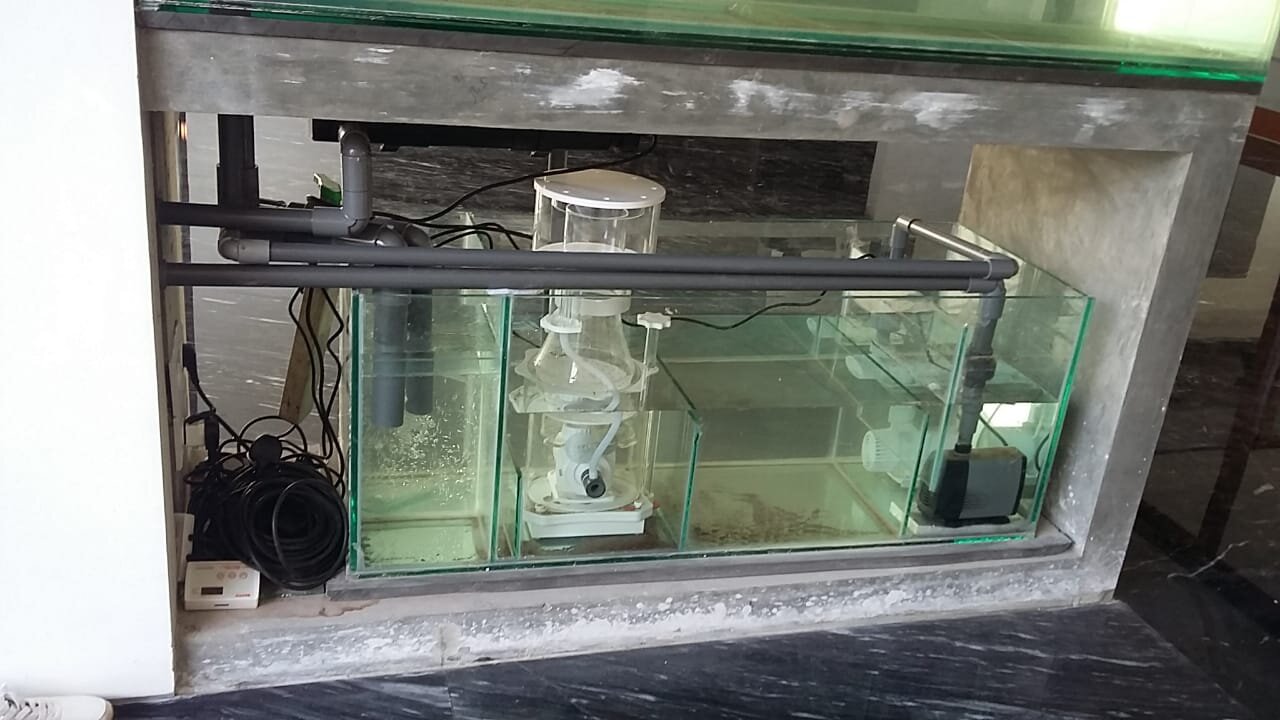 IMG-20190808-WA0004.jpeg