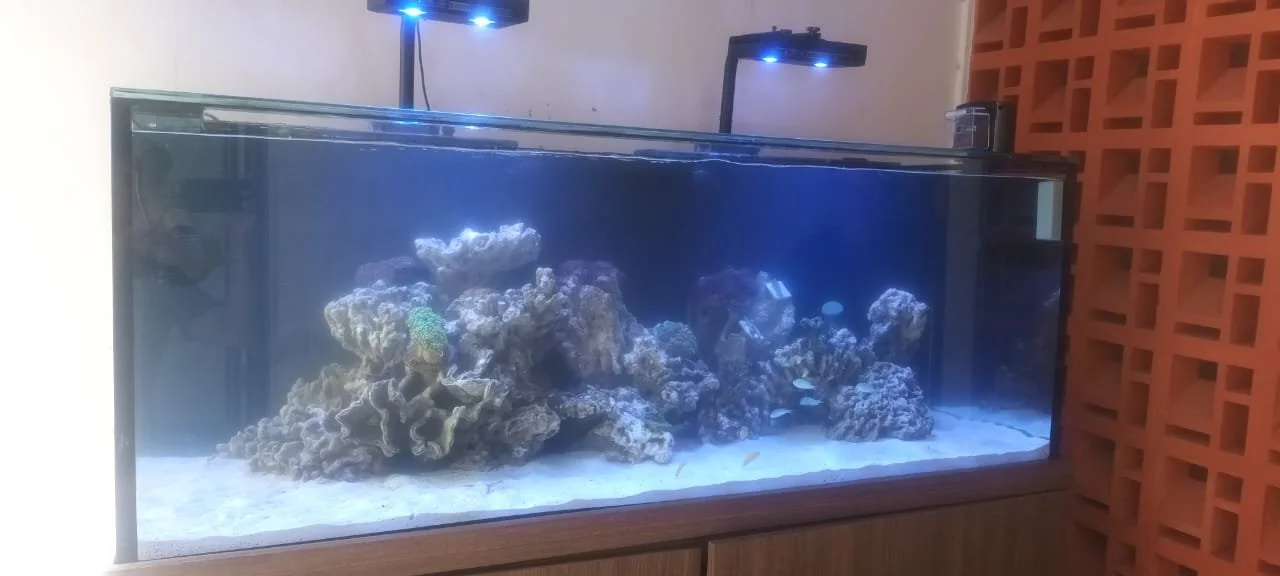 WhatsApp Image 2026-01-13 at 11.54.51 A1M.jpeg