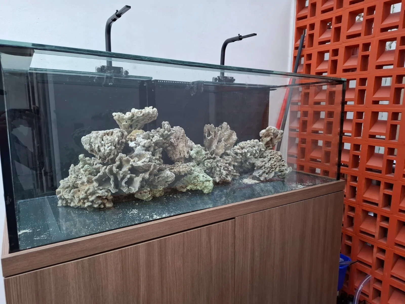 WhatsApp Image 2026-01-13 at 11.54.51 AM.jpeg