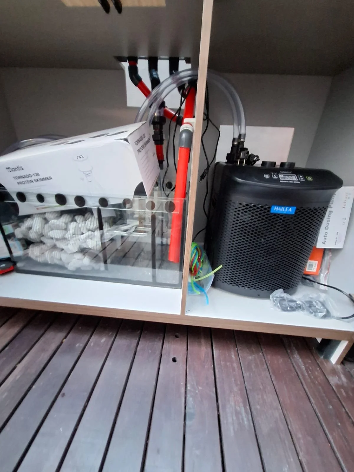 WhatsApp Image 2026-01-13 at 11.58.41 AM.jpeg