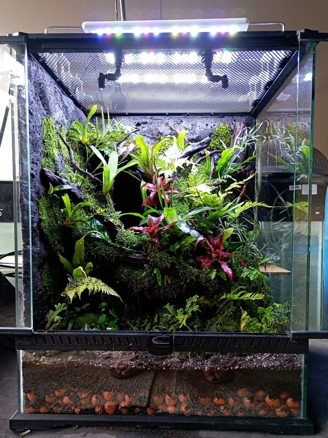 WhatsApp Image 2026-01-16 at 4.33.21 PM.jpeg