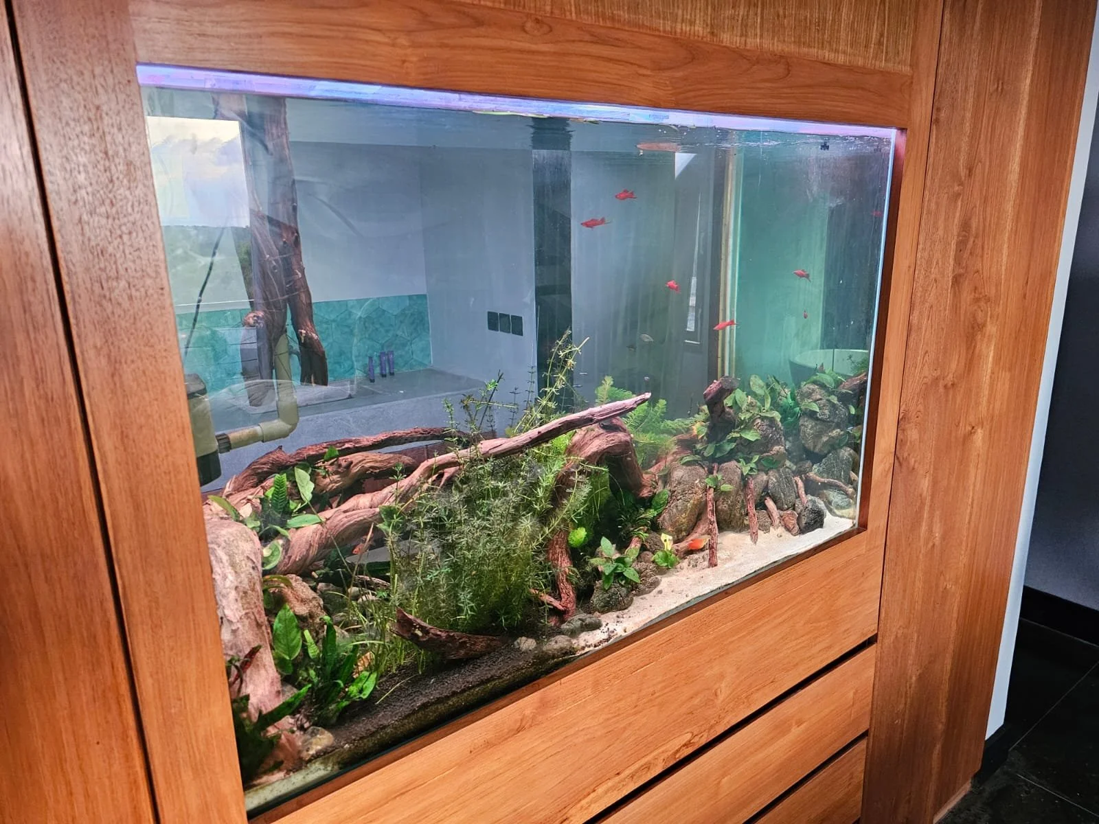 WhatsApp Image 2026-01-13 at 3.31.25 PM.jpeg