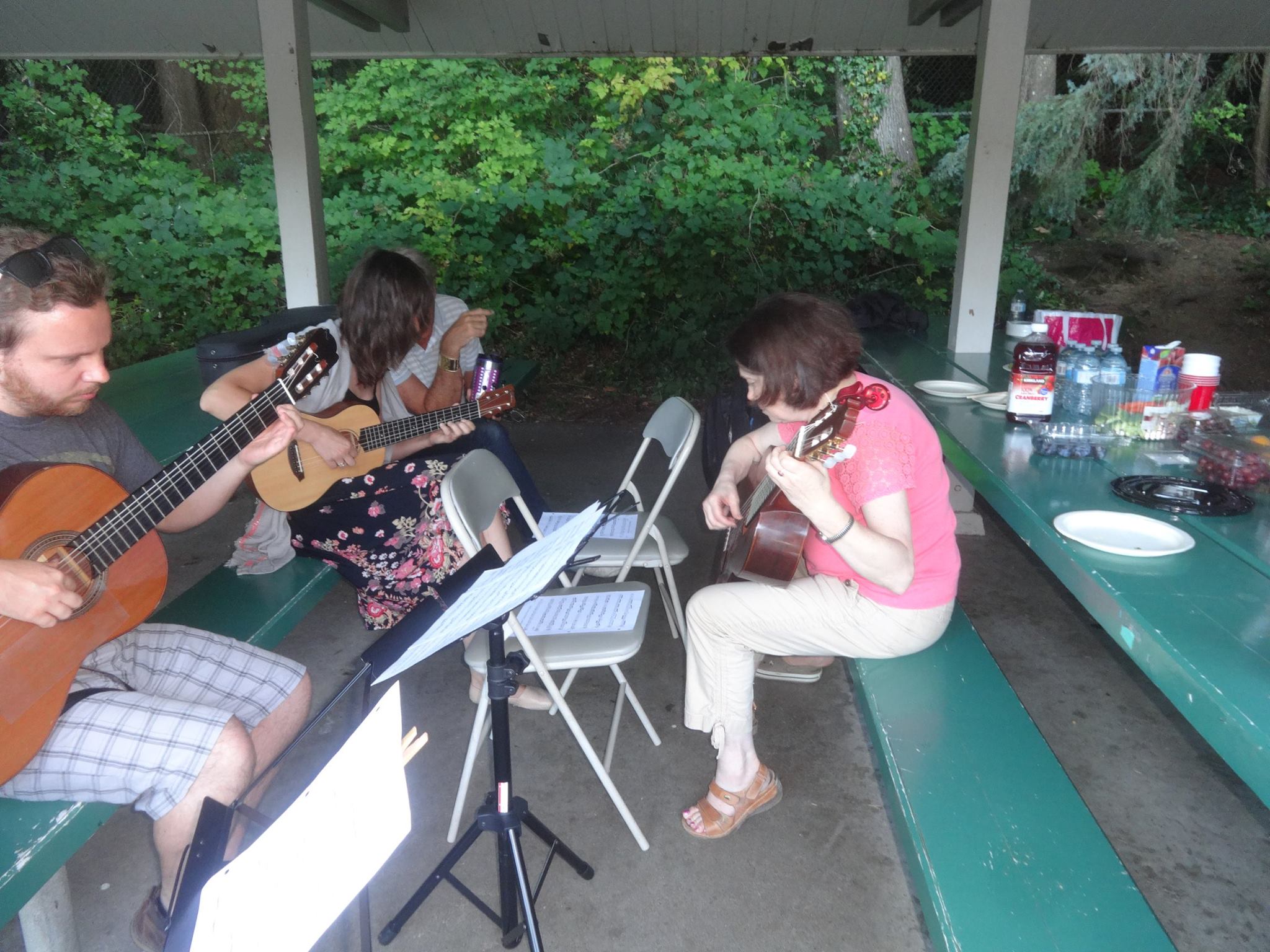 VCGS Picnic 8 - Steve Ganz.jpg