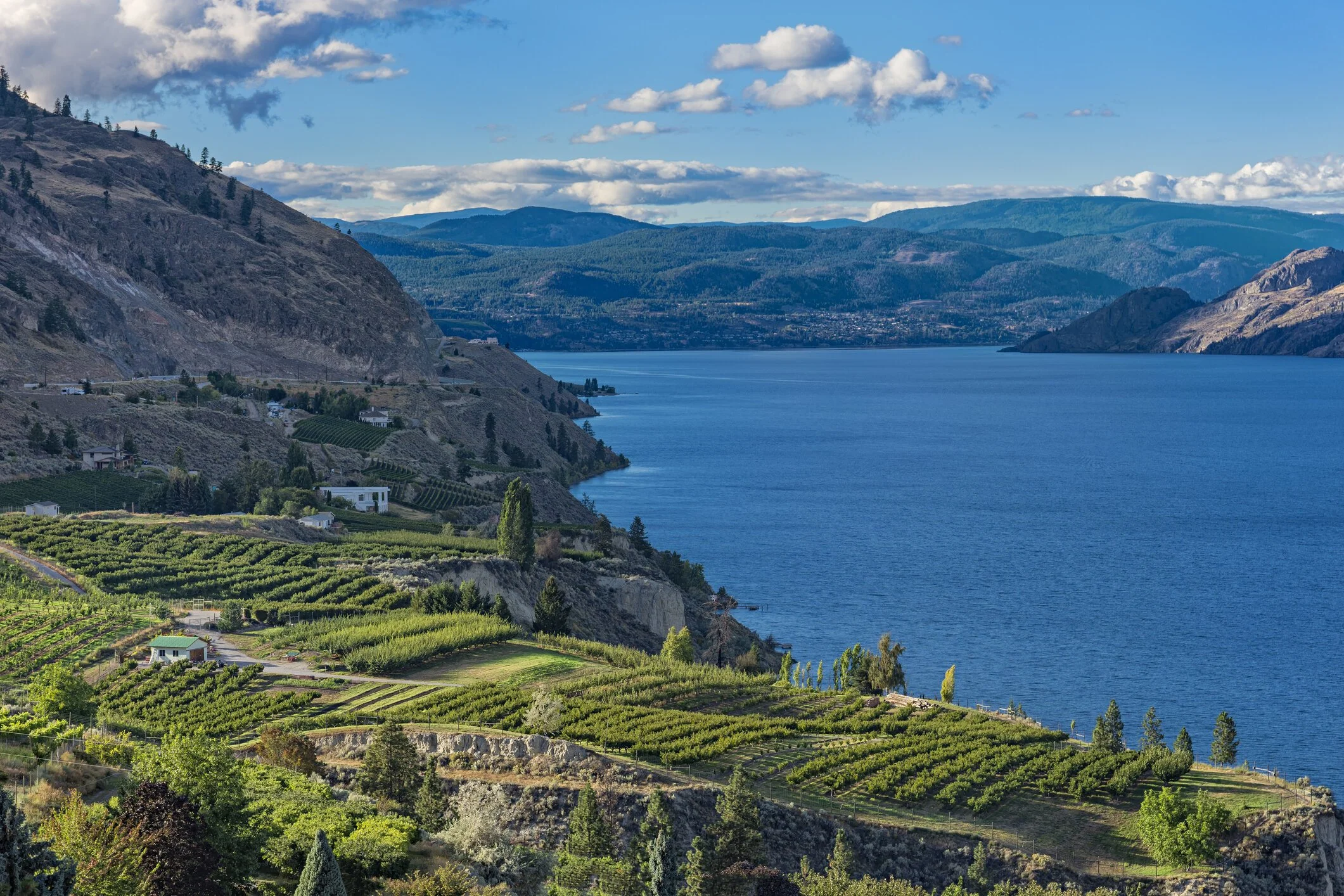 2022-07-24 - The first Okanagan Guitar Festival Takes Place