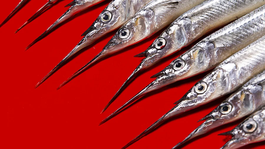 1A9A1950-Edit (1).jpg