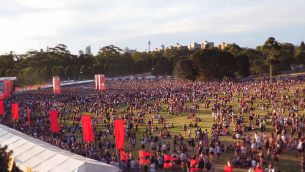 ezgif.com-video-to-gif (3).gif