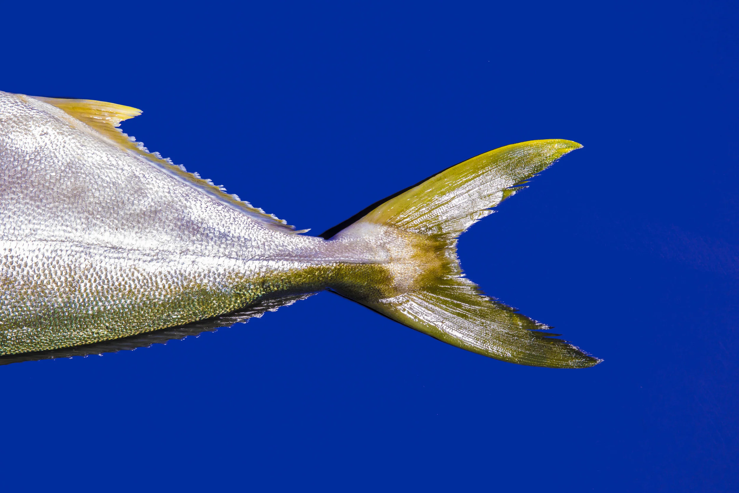 1A9A1922-Edit (1).jpg