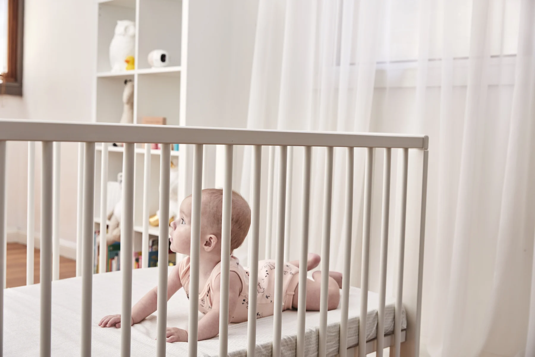 Oricom day20953 1.jpg