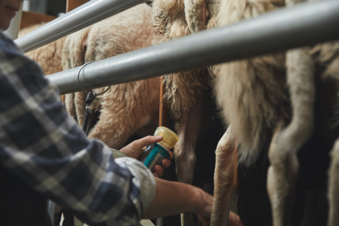 Screen Shot 2019-06-05 at 1.42.59 pm.png